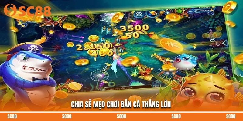 Chia sẻ mẹo chơi bắn cá thắng lớn